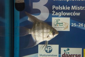 2.Rafał Mamątow