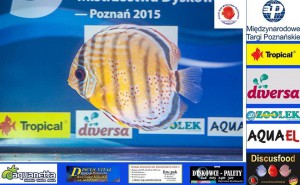 2D2015      