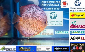 2I2015        