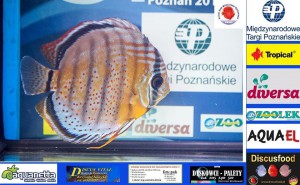 3D2015   
