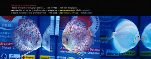 dyskowce_mistrzostwa_pkmd6