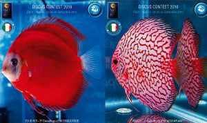 dyskowce_pkmd_italy7